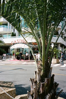 Casino imagen